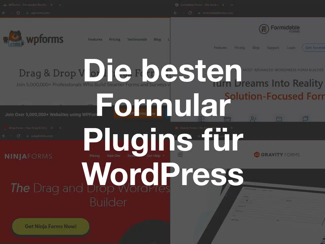 formular-plugins-wordpress-search-one