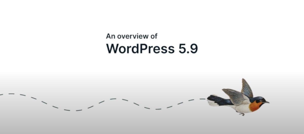 WordPress 5.9 mit radikalen Änderungen